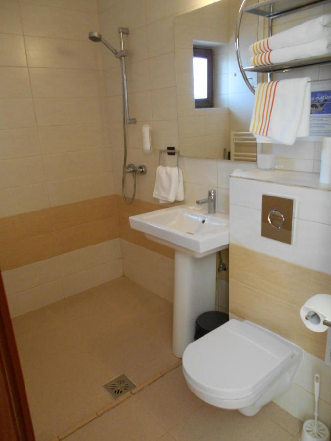 Hotel Casa Rudi & Ella à Sălişte Extérieur photo
